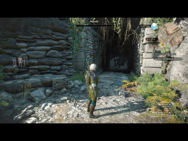 The monster doesn't die Witcher 3  glitch