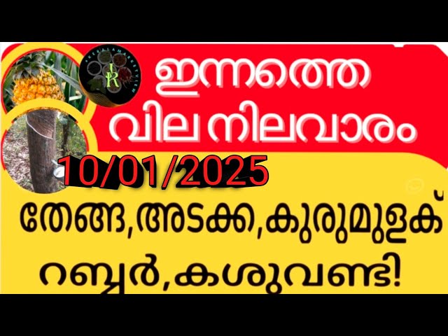 ഇന്ന് ഒട്ടുപാൽ വില കിന്റലിൽ 100രൂപ കൂടി | Know the gold price in Kerala today | Malayalam