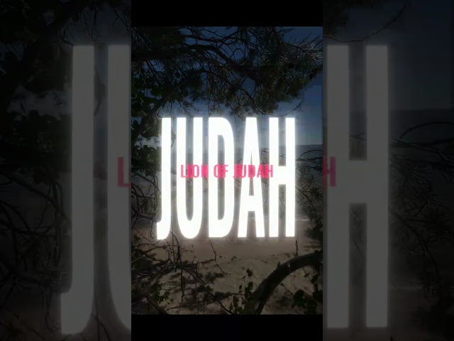 Lion of Judah - Praise & Worship