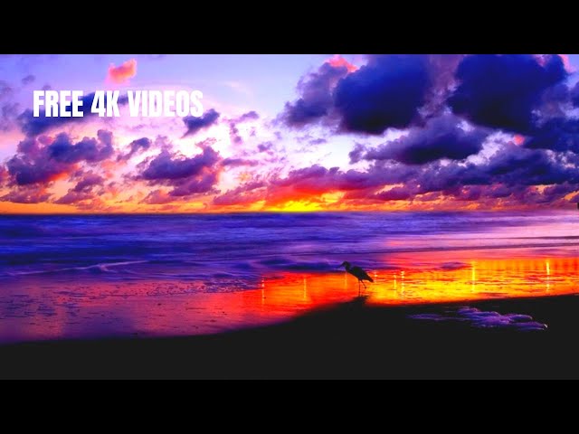 BEST 2O22 SUNSET BEACH STOCK FOOTAGE {COPYRIGHT FREE 4K/HD VIDEOS}