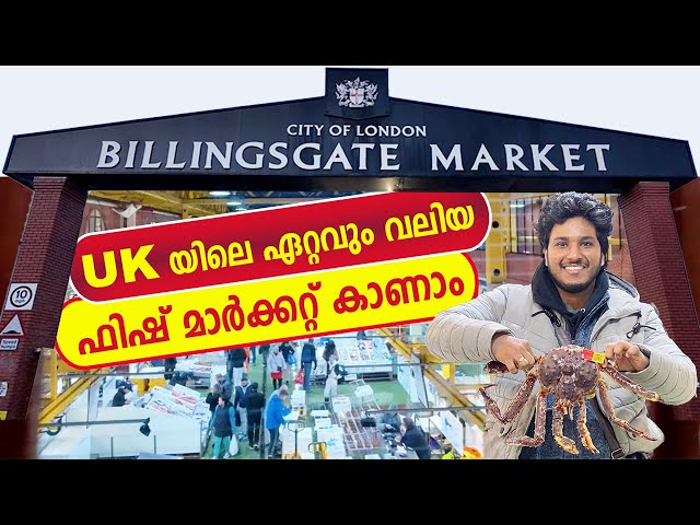 ലോകത്തിലെ തന്നെ ഏറ്റവും വലിയ ഫിഷ് മാർക്കറ്റ് Billingsgate Fish Market London  #london #uk