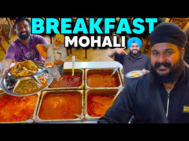 Secret Food Spots in Mohali That Locals Love