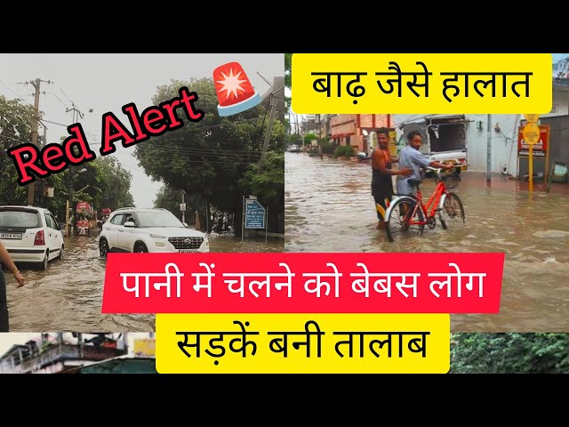 Delhi Flood Alert: बारिश से हालात बेकाबू | Yamuna River Danger Level | #flood #yamuna #viral #delhi