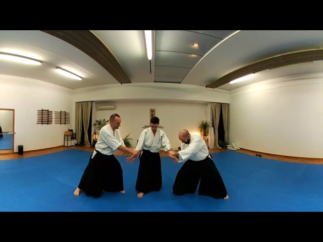 Aikido training: Randori