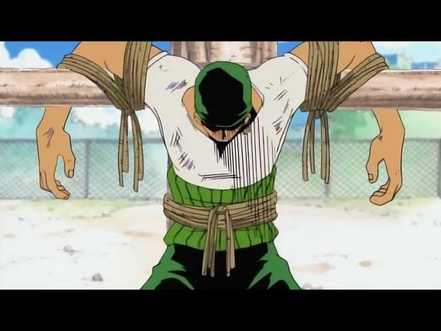 One Piece Fighting Path, free my boy Zoro he did nothing wrong.