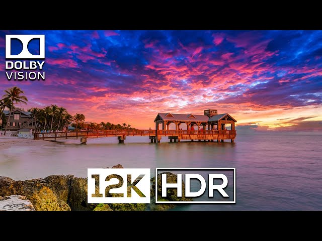 12K HDR 120fps Dolby Vision | Brilliant Vibrance