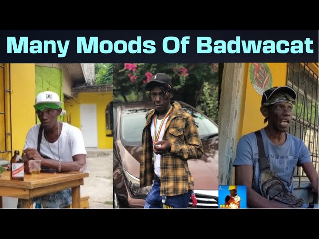 Funniest #Badwacat Stories 😂Pt. 1 My Reaction #jamaica #comedy #viral