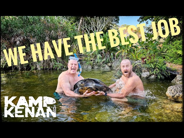 New Pond Reveal + Swimming with our New Turtles!