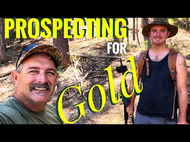 Prospecting for Gold