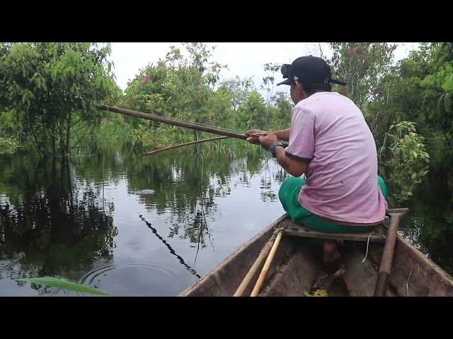 PARA TUDO!!! VEJA BEM ESSA PESCARIA COM ARCO E FLECHA, VOCÊ VAI PIRAR... Friagem Amazônia.