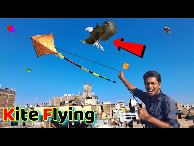 Eagle attacked while flying kite || Kite flying || Kite fighting || flying kite #kite #kiteflying