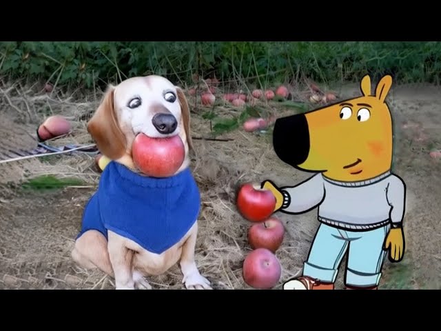 Dog with Apple in Mouth | Apple Dog AI Memes Compilation 2 / Dog With Apple | Apple Dog Core