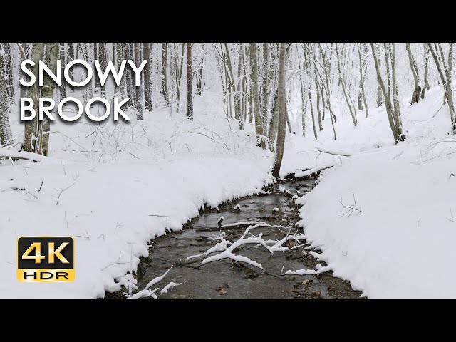 4K HDR Snowy Brook - Relaxing River Sounds - Peaceful Snow & Forest Stream - Flowing Water Sleep Aid