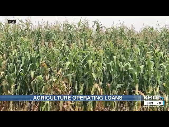 Ag banker provides insight into operating loans and interest rates