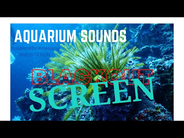 NO ADS 1 Hour of Aquarium Sounds  Bubbles for Sleeping#  BLACKOUT SCREEN FOR MEDITATION WHITE NOISE