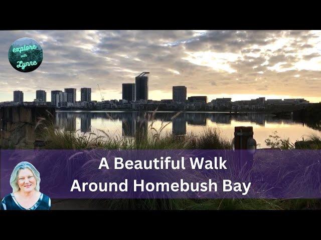 Beautiful Early Morning Visit to the Homebush Bay Shipwrecks