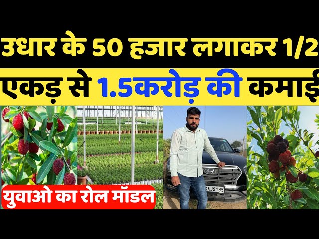 आधा एकड़ जमीन में 50 हजार लगाकर डेढ़ करोड़ की कमाई | New Buisness Ideas | Modern Farming | Kheti