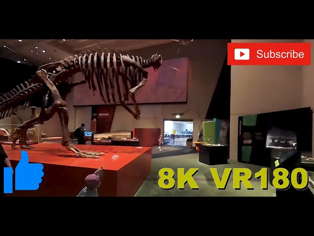 VR180 8K 3D Queensland Museum in Brisbane - Dinosaurs & History (Travel videos with ASMR or Music)