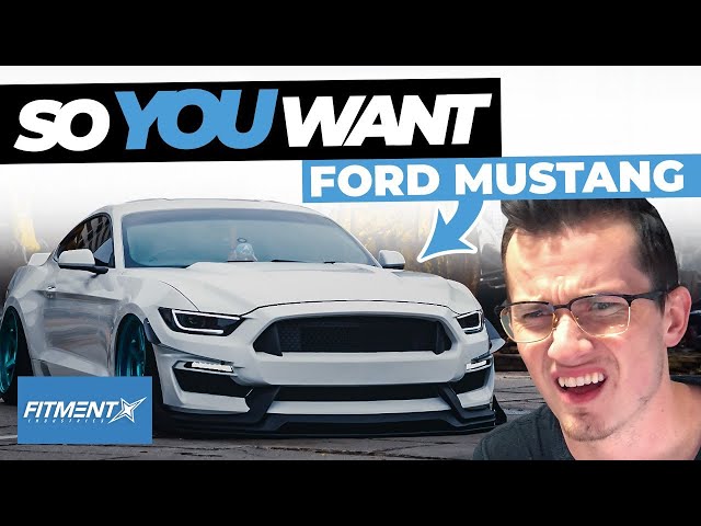 So You Want a 6th Gen Mustang