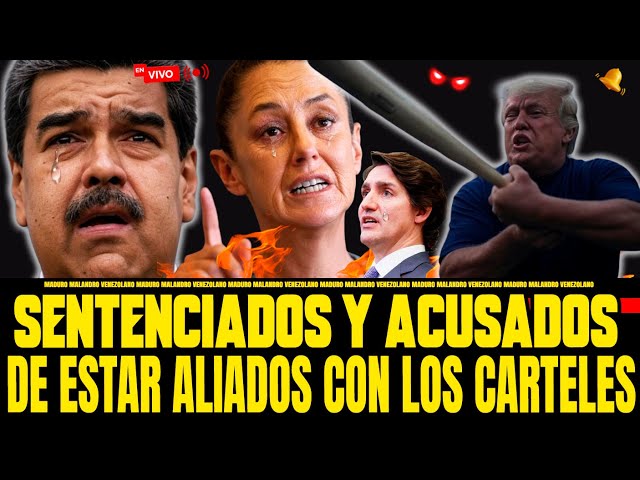 🔴ÚLTIMAS NOTICIAS! INICIO LA CACERIA CONTRA LOS ALIADOS DEL CRIMEN ORGANIZADO - EN VIVO