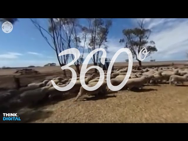 Australia's first 360 Video Farm Tour | Bromley Park