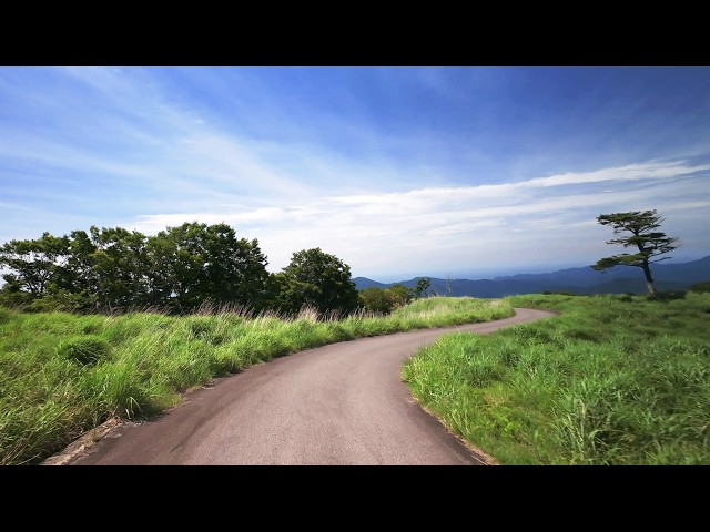 Scenic Drive Down Winding Mountain Road - Forests and Villages on Sunny Summer Day | Mikata, Japan