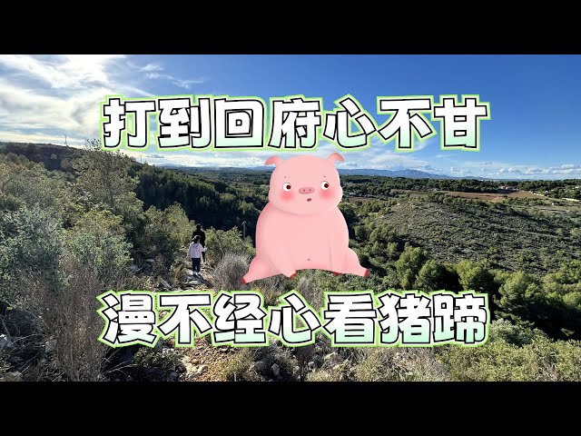 「旭游随记vlog」登山用品已备齐，山路崎岖太顽疾，打到回府心不甘，漫不经心看猪蹄