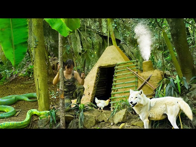 LIVE: Solo Bushcraft Survival, Building a Cliff Shelter & Mysterious Night Sounds