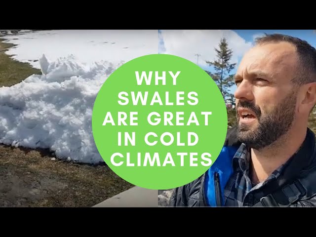 Why Swales Are Great In Cold Climates