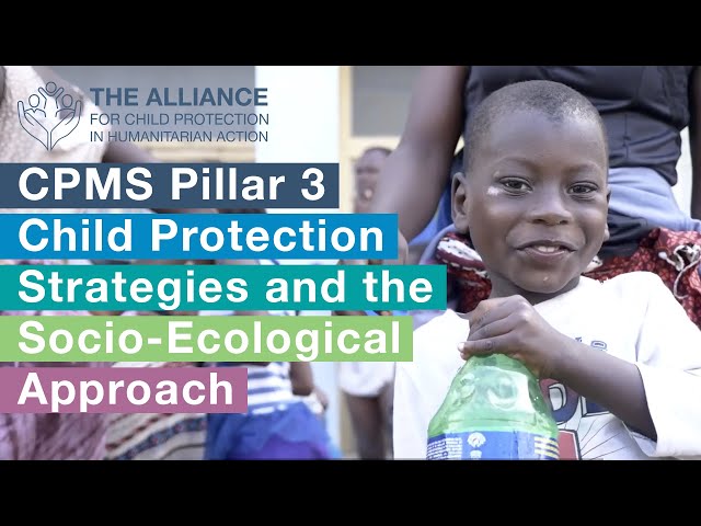 CPMS Pillar 3: Child Protection Strategies and the Socio-Ecological Approach