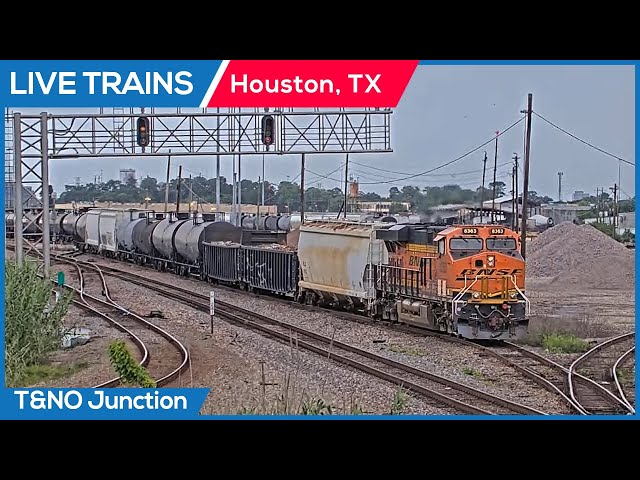 🔴 LIVE Trains Railcam | Houston, Texas (T&NO Junction) PTZ