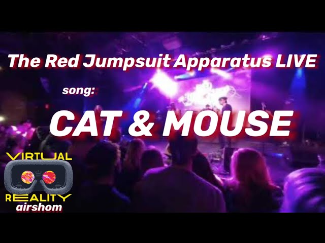 VR180 The Red Jumpsuit Apparatus LIVE - Cat & Mouse Song