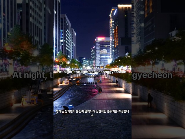 Cheonggyecheon seoul's #travel #koreanheritage #korean #koreaexperience  #seoul #korean