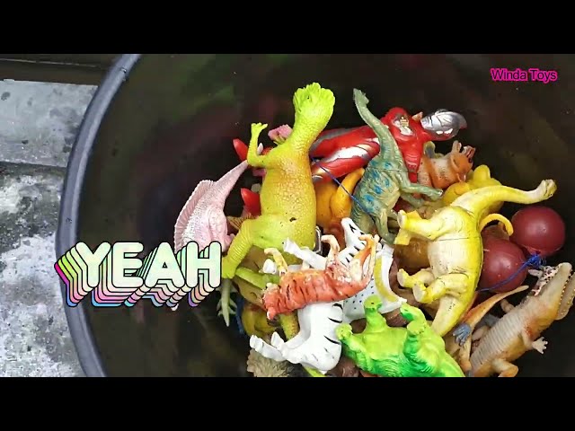 menemukan mainan hewan di paret, dinosaurus, singa, jerapah, beruang, buaya, ikan, latto latto,