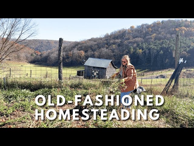 Multi-Generational Homestead Farming | Homemaking | Preparing for Winter | Late Fall Gardening