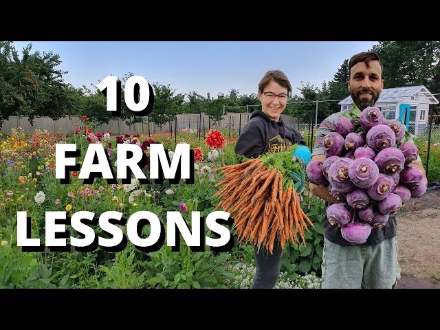 10 Lessons Learned From Second Year Farming