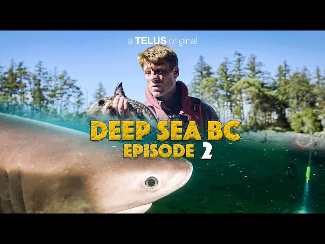 Deep Sea BC S1 Ep 02: Searching for Sharks