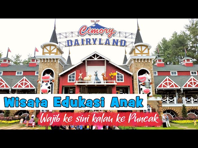 Complete Tour Cimory Dairyland Puncak | Magic Village & De Windmills | Wisata Puncak Wajib Kunjung