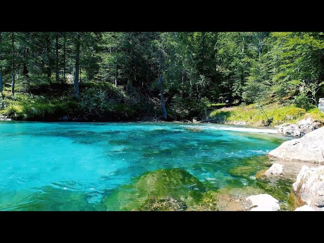 Blue Crystal Clear  River Stream Flowing in Nature -  Nature Ambience For Sleeping 😍💕❤️