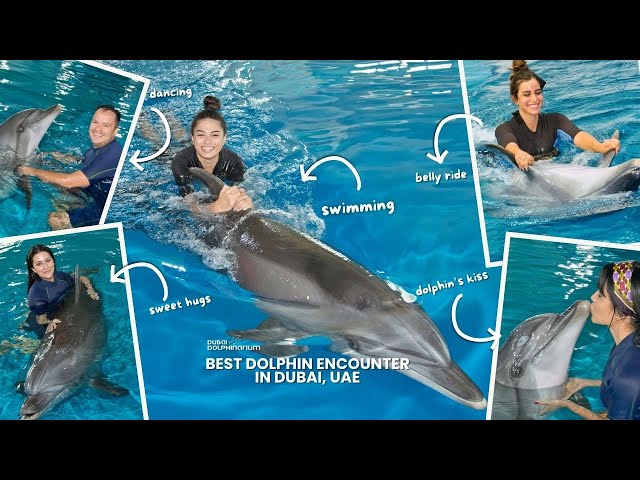 VIP Dolphin Encounter Package | Dubai Dolphinarium | Up to 20% Off Limited Time Offer