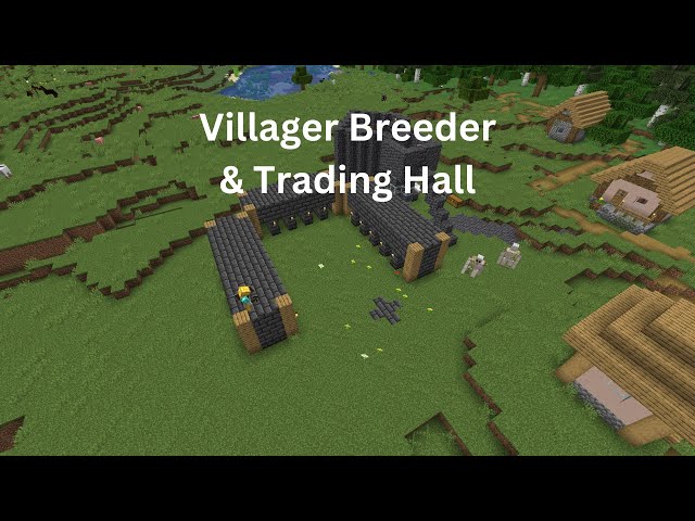 SWJ Ep 12: Villager Breeder & Trading Hall