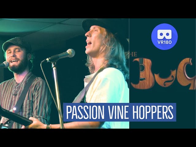 Passion Vine Hoppers at The Bug in Virtual Reality