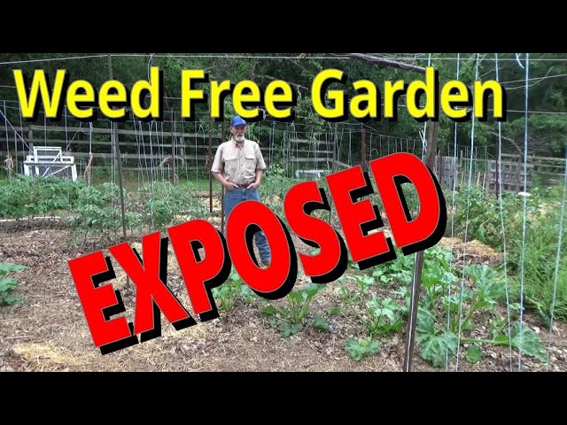 Weed Free Garden EXPOSED 6-9-2023