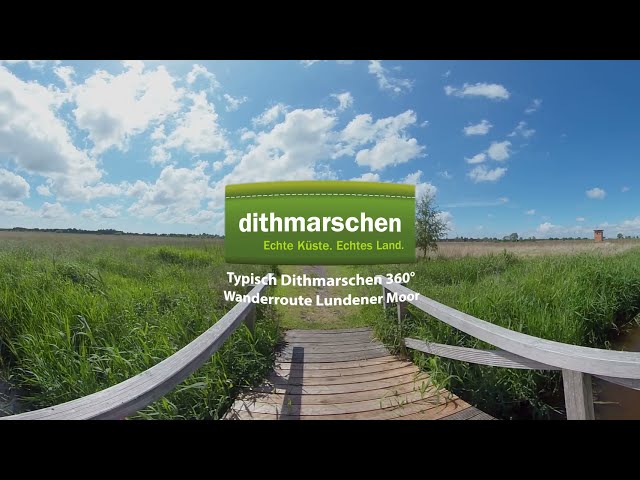 Typisch Dithmarschen 360°: Wandern im Lundener Moor