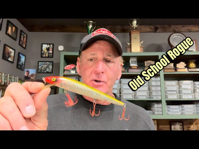 When The Old School Clown Rogue Outfishes All Other Lures…