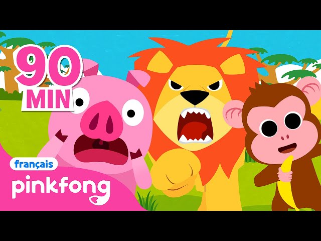 Pinkfong en français - 🦁Chansons d'Animaux | +Comptines | Baby Shark Chansons pour Enfants