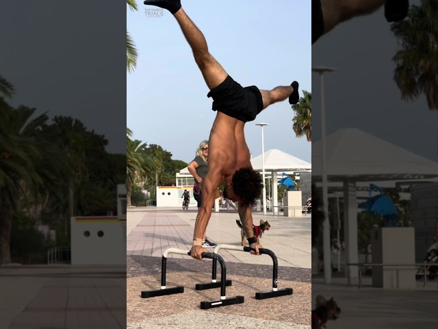 Scariest Calisthenics Workout (Part31)  #calisthenics#gymworkout #transformation #bodybuilding #gym