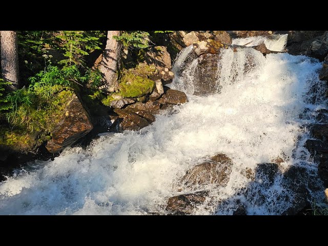 🎧 ASMR Soundscapes | Dreamlike Bliss with Whispering Timeless Falls