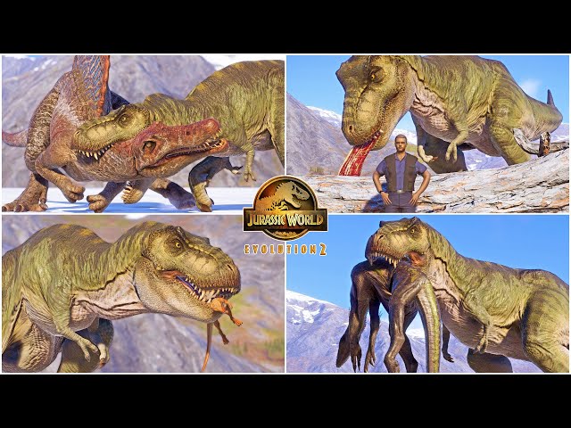 JURASSIC PARK BULL TREX HUNTING ANIMATIONS VS ALL DINOSAURS | JURASSIC WORLD EVOLUTION 2