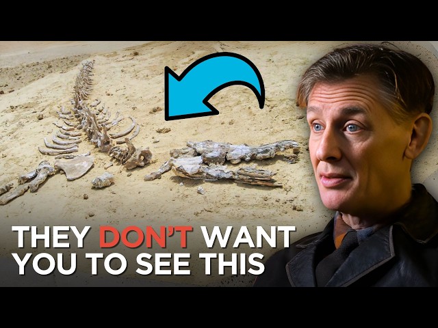 Why Have NO Dinosaur and Human Fossils Been Found Together?